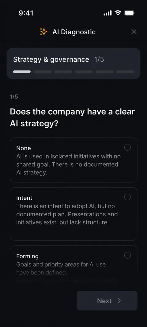 Kaizen Club: AI company diagnostic